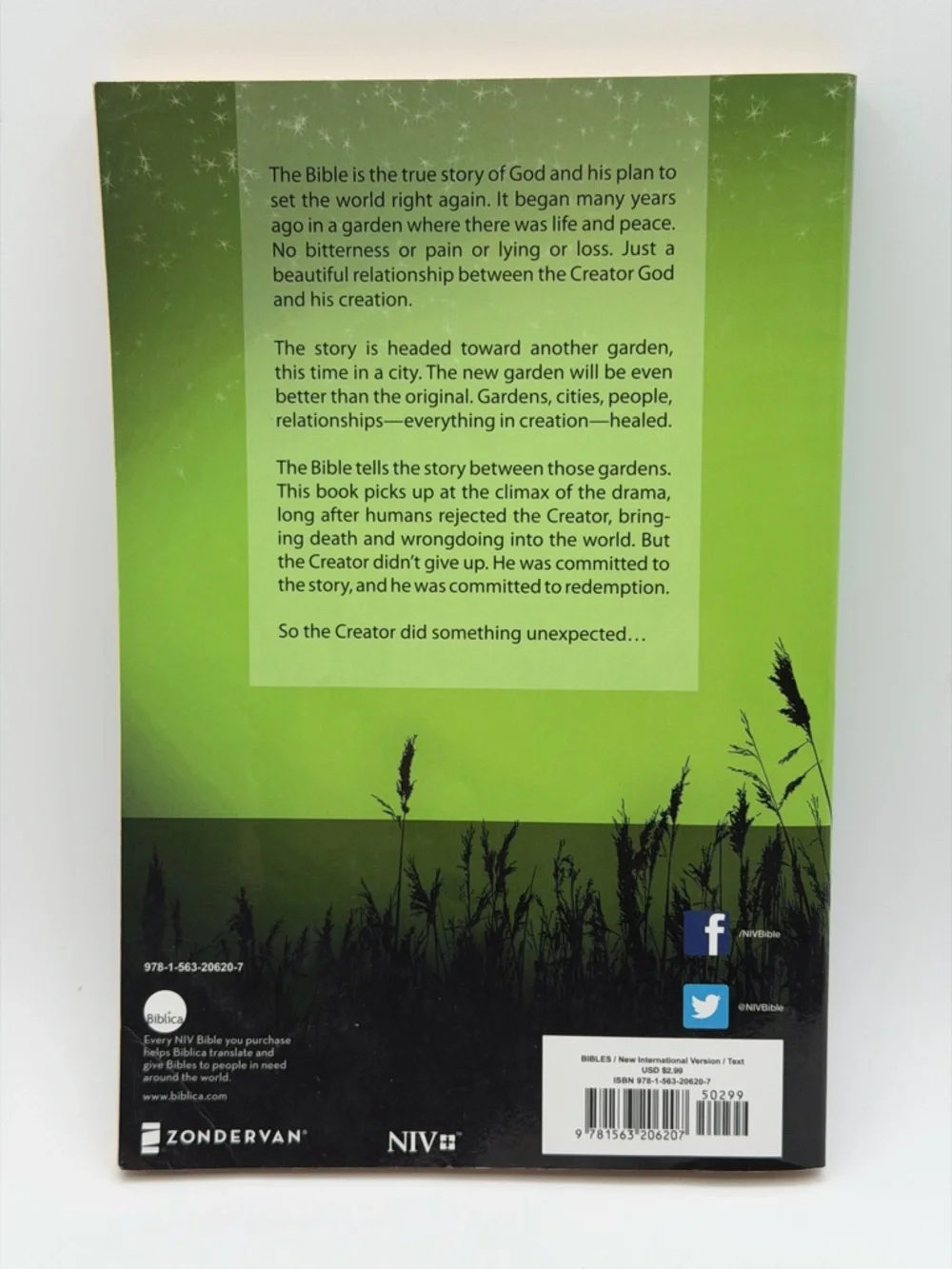 New International Version New Testament Holy Bible Large Print (2011, Paperback)